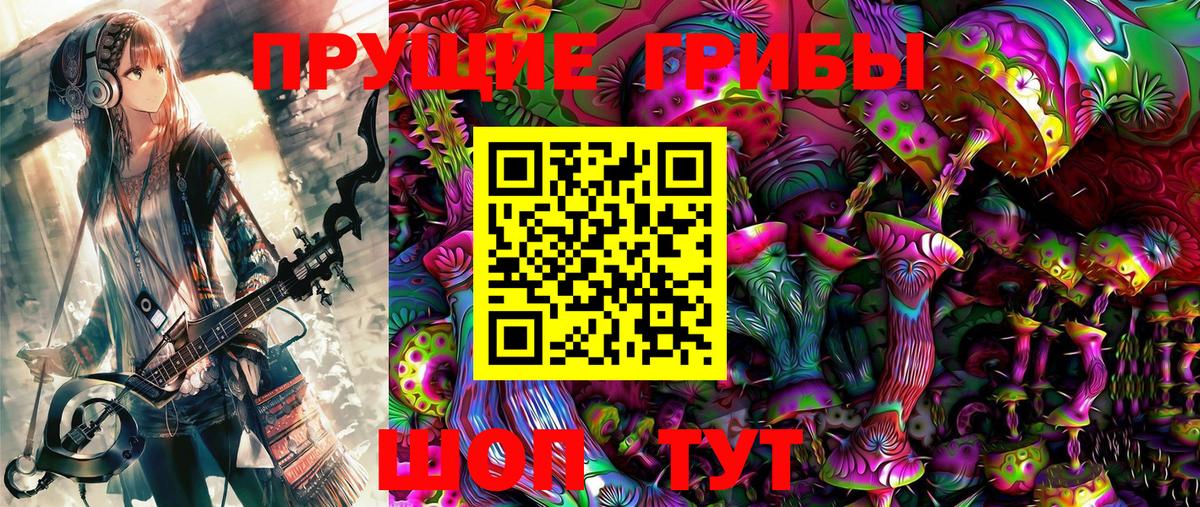 Псилоцибиновые грибы Psilocybe Биробиджан