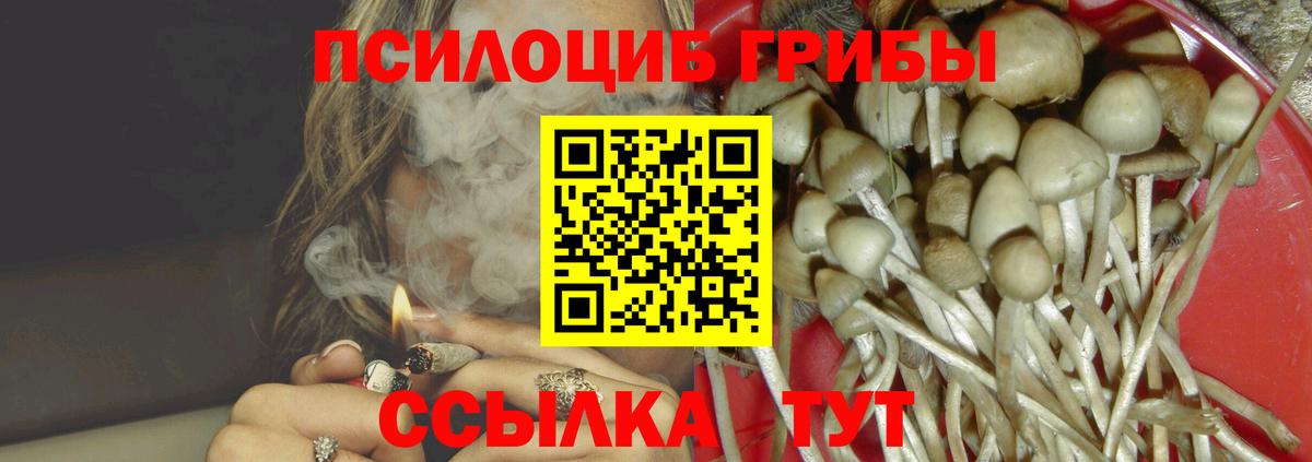 как найти наркотики  Галлюциногенные грибы GOLDEN TEACHER  Вход с VPN  Биробиджан 
