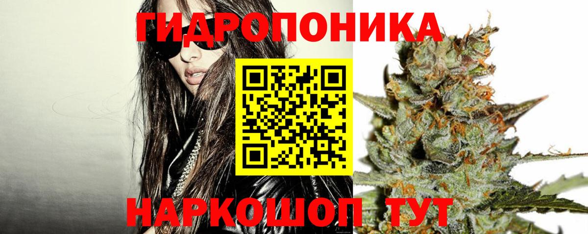 Шишки марихуана конопля Биробиджан